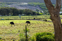 CapeTownArea2829April2026-6