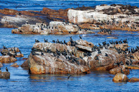 CapeTownArea2829April2026-8