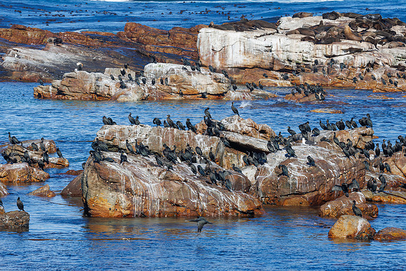 CapeTownArea2829April2026-8