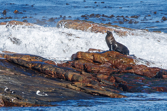 CapeTownArea2829April2026-11
