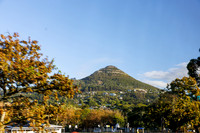 CapeTownArea2829April2026-4