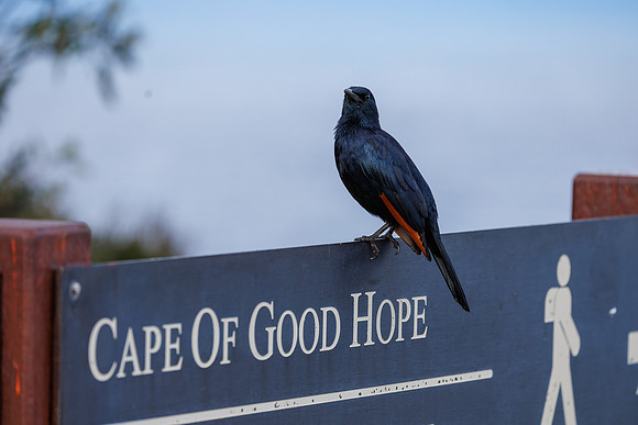 CapeTownArea2829April2026-24