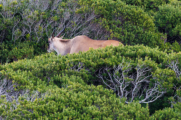 CapeTownArea2829April2026-25