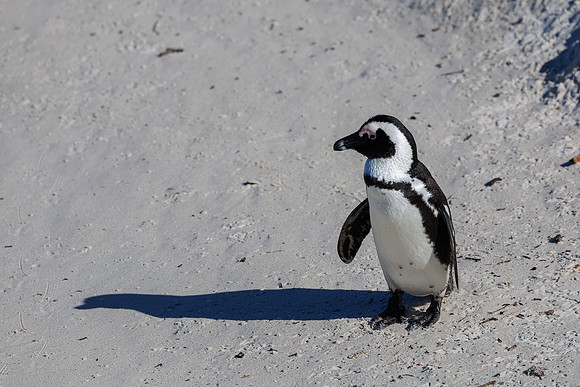 CapeTownArea2829April2026-31