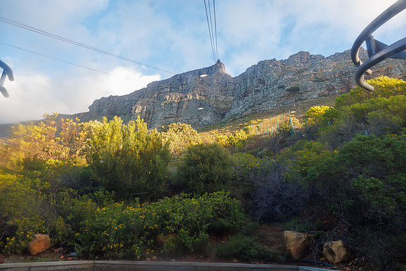 CapeTownArea2829April2026-37