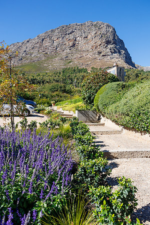 CapeTownArea2829April2026-64