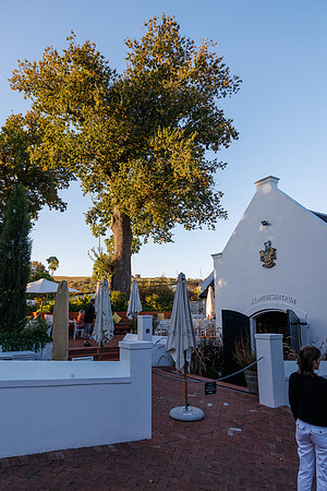CapeTownArea2829April2026-75