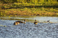 KrugerArea01May2026-7
