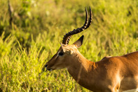 KrugerArea01May2026-4