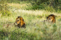 KrugerArea01May2026-19