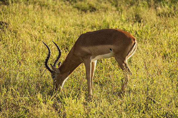 KrugerArea01May2026-3