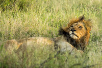 KrugerArea01May2026-16