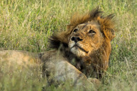KrugerArea01May2026-17