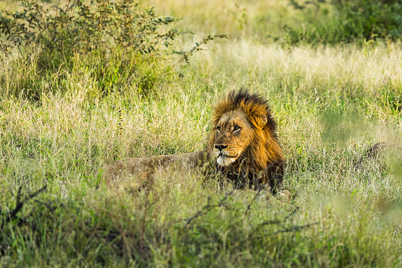 KrugerArea01May2026-18