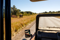 Odavengo Area