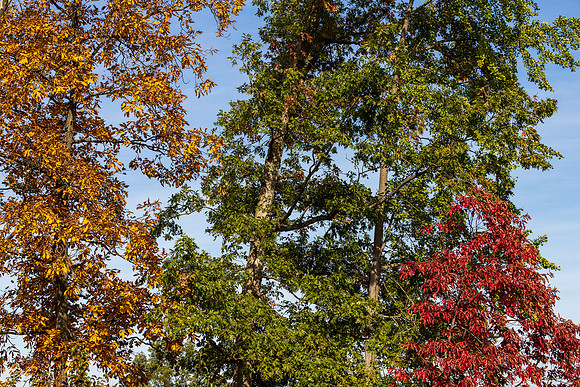 Fall in Gettysburg