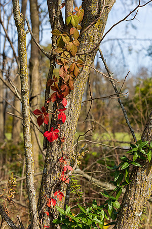 Fall in Gettysburg