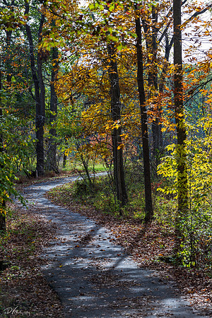 Fall in Gettysburg