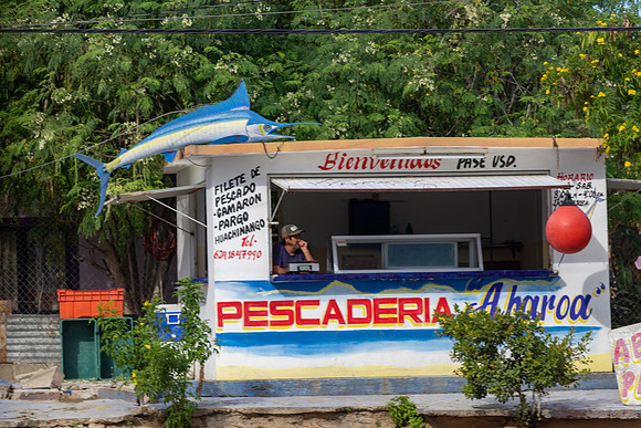 Street Seafood