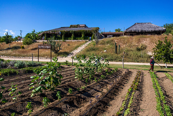 San Jose Del Cabo, Les Tamarindos Restaurant.