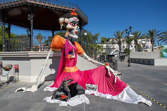 Day of the Dead Beauty