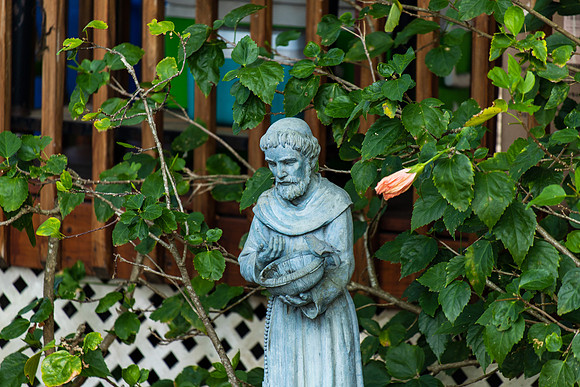 St. Francis of the Yard