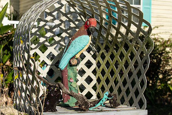 Parrot Cage