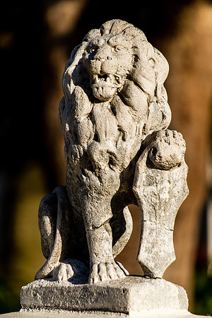 Guardian of the Driveway